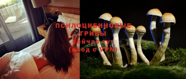спайс Богданович