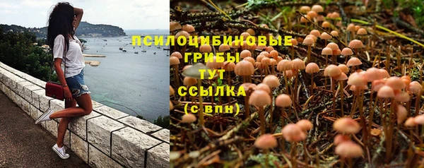 спайс Богданович