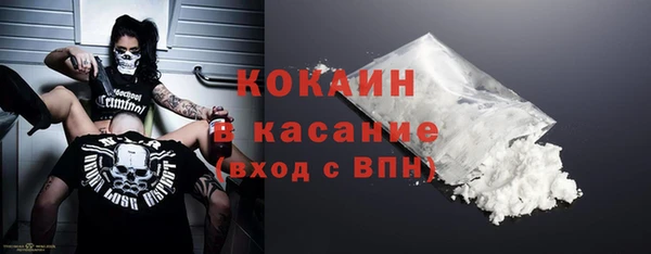 спайс Богданович