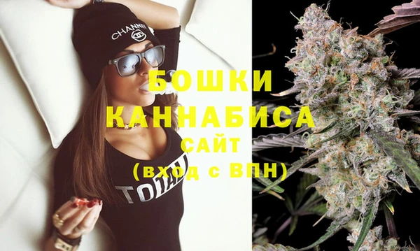 спайс Богданович