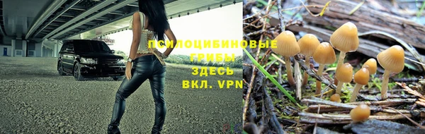 таблы Богородск